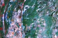 缅甸硅化木的“产地”探秘