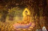 探寻佛教中的‘七’之神秘意义