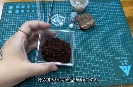 新手必知：宠物蜘蛛的养护指南