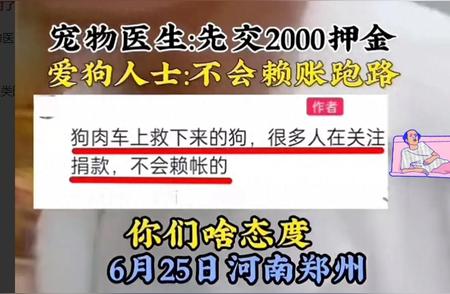 宠物医生要求先交押金：爱狗人士积极回应，捐款活动备受关注