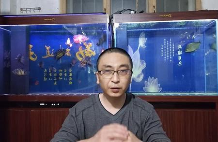 揭秘招财鱼发红攻击之谜：原因与解决方法