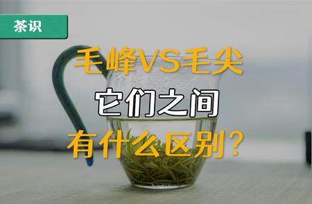 毛峰与毛尖：两种茶叶的对比解析