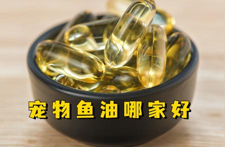 宠物鱼油品牌排行榜，你的选择是？