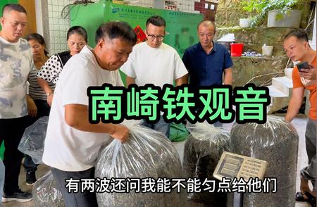 南崎铁观音：茶叶品质的天花板级别探究