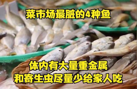 菜市场里的隐患：四种高危鱼品，家人健康需警惕！