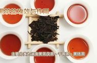 今日探讨：黑茶的深度解析🍵