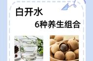 办公室必备：白开水养生茶的神奇功效